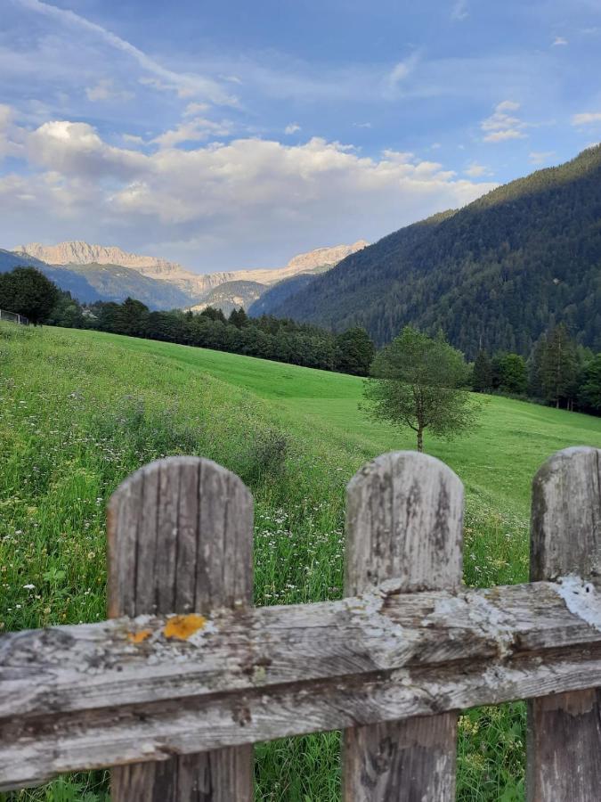 Апартаменты Dolomiti Di Brenta House Мадонна-ди-Кампильо Экстерьер фото